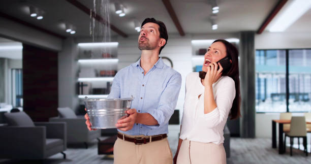 Best Carpet water damage restoration  in Atlantic, IA
