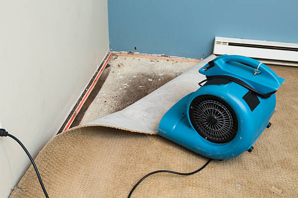 Best Residential water damage restoration  in Atlantic, IA